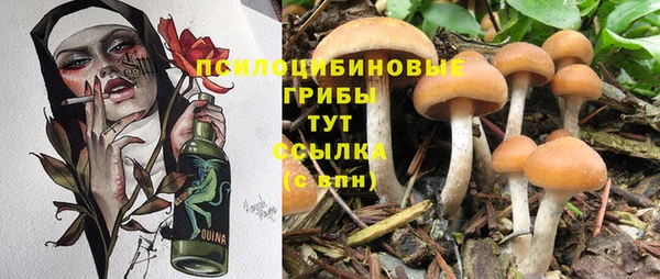 крисы Арсеньев