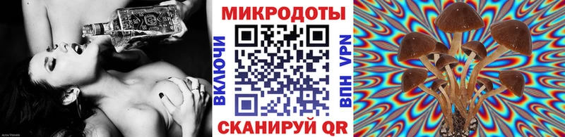 хочу наркоту  Чегем  Псилоцибиновые грибы Magic Shrooms 